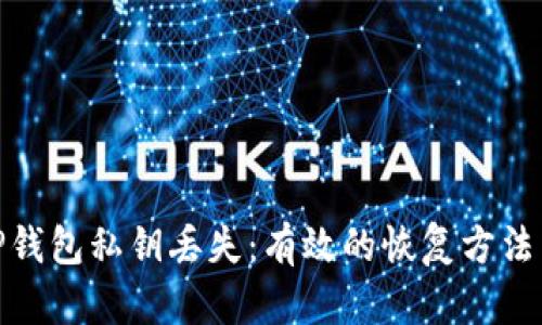 如何应对TP钱包私钥丢失：有效的恢复方法与预防措施