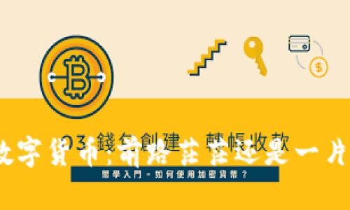 MXT数字货币：前路茫茫还是一片光明？