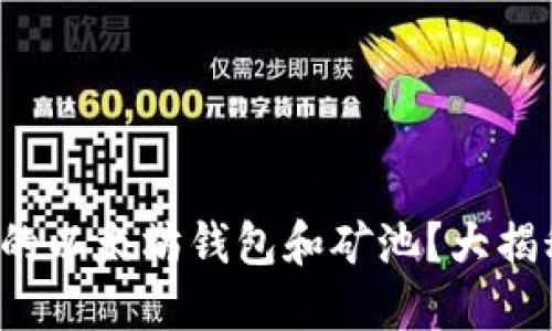 如何选择合适的以太坊钱包和矿池？大揭秘及价格指南！