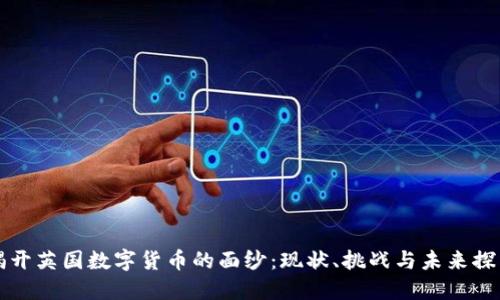 揭开英国数字货币的面纱：现状、挑战与未来探索