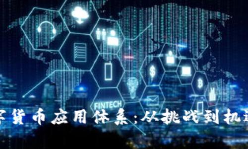 探索全球数字货币应用体系：从挑战到机遇的全景分析