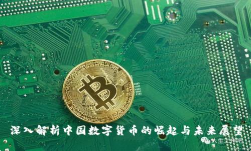 深入解析中国数字货币的崛起与未来展望
