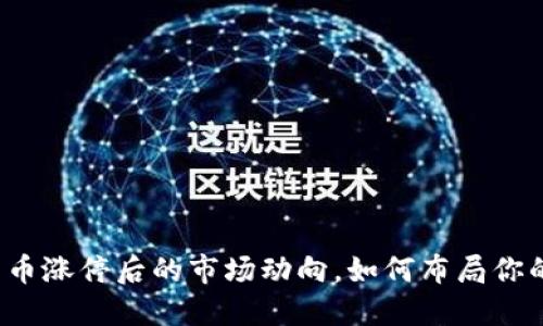 捕捉数字货币涨停后的市场动向，如何布局你的投资策略？