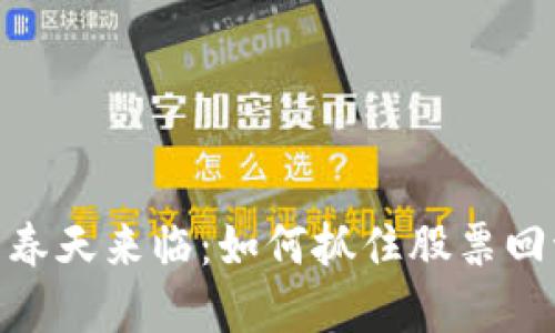 数字货币的春天来临：如何抓住股票回流的新机遇