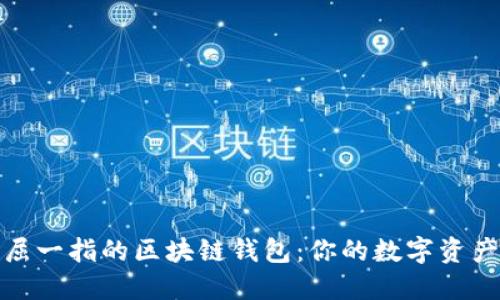 探索全球首屈一指的区块链钱包：你的数字资产安全守护者