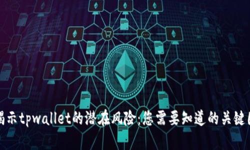 : 揭示tpwallet的潜在风险：您需要知道的关键因素