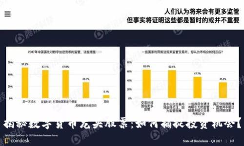 揭秘数字货币龙头股票：如何捕捉投资机会？