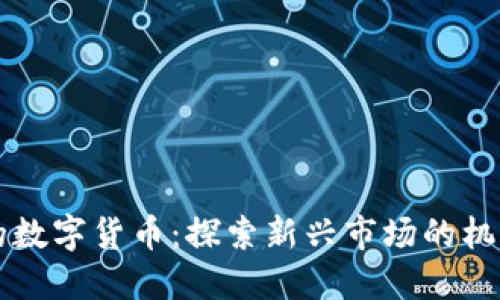 南苏丹的数字货币：探索新兴市场的机遇与挑战