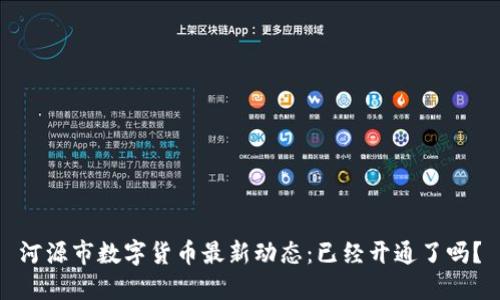 河源市数字货币最新动态：已经开通了吗？
