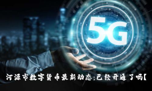 河源市数字货币最新动态：已经开通了吗？
