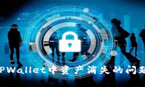 如何解决TPWallet中资产消失的问题：实用指南