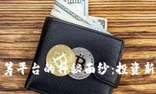 揭开数字货币众筹平台的神秘面纱：投资新机遇与风险剖析