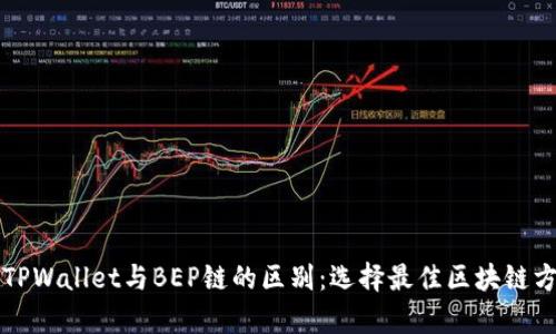 深入解析TPWallet与BEP链的区别：选择最佳区块链方案的指南