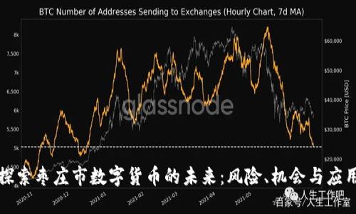 探索枣庄市数字货币的未来：风险、机会与应用
