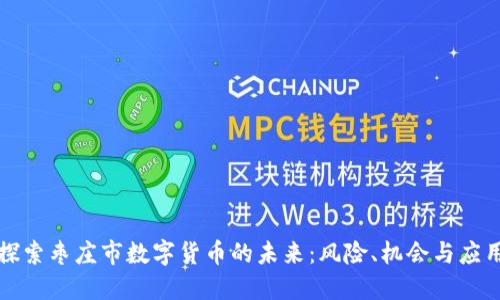 探索枣庄市数字货币的未来：风险、机会与应用