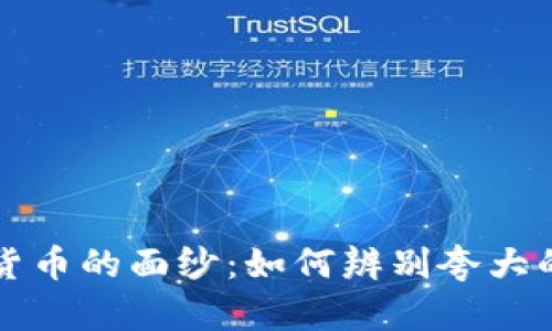 揭开数字货币的面纱：如何辨别夸大的投资骗局