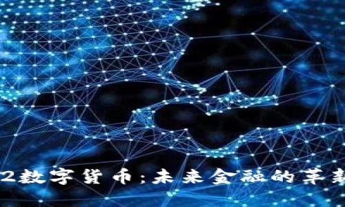 YYDS2数字货币：未来金融的革新力量