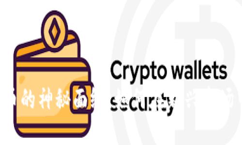 揭开SOC数字货币的神秘面纱：如何在新兴市场中把握投资机会