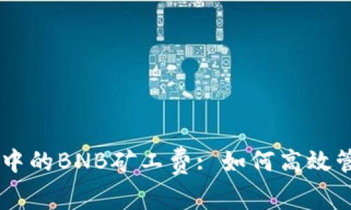 掌握TPWallet中的BNB矿工费: 如何高效管理与你的投资