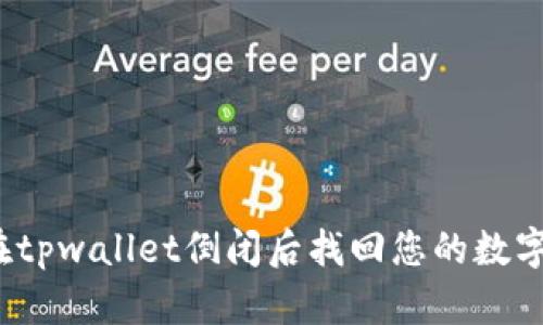 如何在tpwallet倒闭后找回您的数字资产？