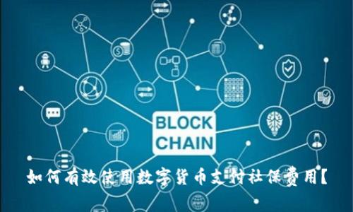 如何有效使用数字货币支付社保费用？