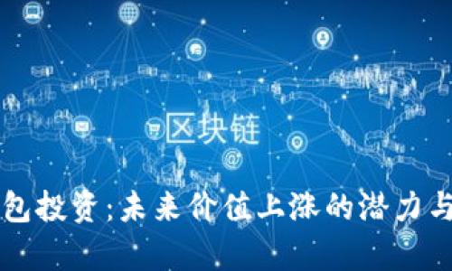 以太坊钱包投资：未来价值上涨的潜力与风险分析