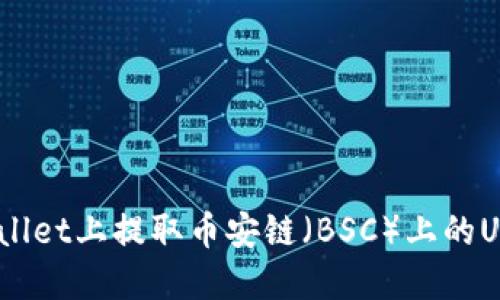 如何在TPWallet上提取币安链（BSC）上的U币：详细指南