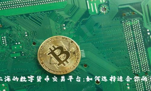 探索上海的数字货币交易平台：如何选择适合你的交易所