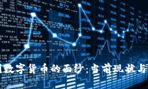 揭开美国数字货币的面纱：当前现状与未来展望