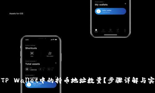 如何查看TP Wallet中的持币地址数量？步骤详解与实用小技巧