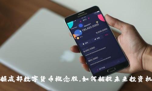 挖掘底部数字货币概念股，如何捕捉未来投资机遇