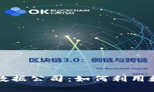 探索数字货币大数据公司：如何利用数据驱动投资决策