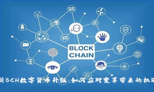 深入解析BCH数字货币升级：如何应对变革带来的机遇与挑战