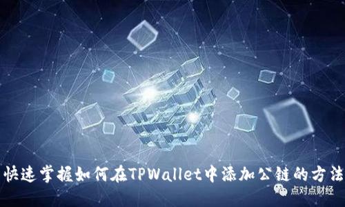 快速掌握如何在TPWallet中添加公链的方法