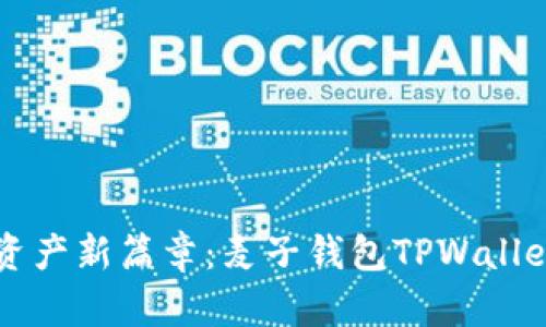 开启数字资产新篇章：麦子钱包TPWallet详细解析