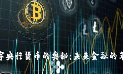 破解数字央行货币的奥秘：未来金融的革命之路