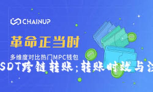 TPWallet USDT跨链转账：转账时效与注意事项详解