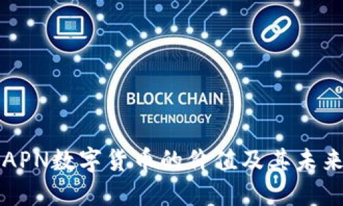 探索APN数字货币的价值及其未来潜力