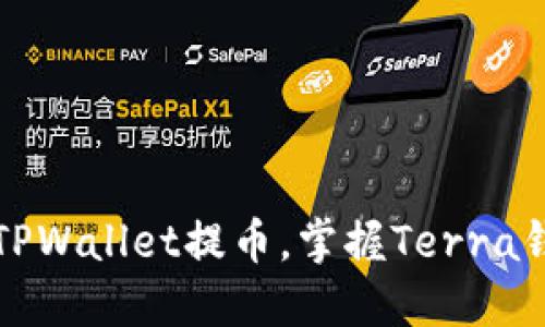 如何高效使用TPWallet提币，掌握Terra钱包的实用技巧