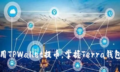 如何高效使用TPWallet提币，掌握Terra钱包的实用技巧