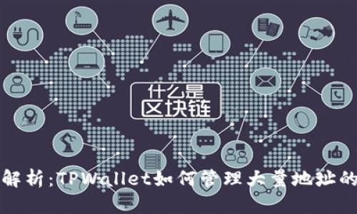 深入解析：TPWallet如何管理大量地址的奥秘