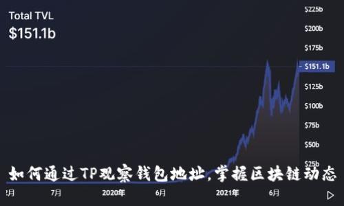 如何通过TP观察钱包地址，掌握区块链动态