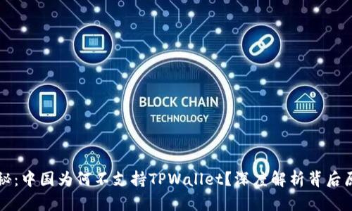 揭秘：中国为何不支持TPWallet？深度解析背后原因