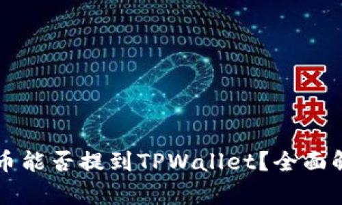 狗币能否提到TPWallet？全面解析